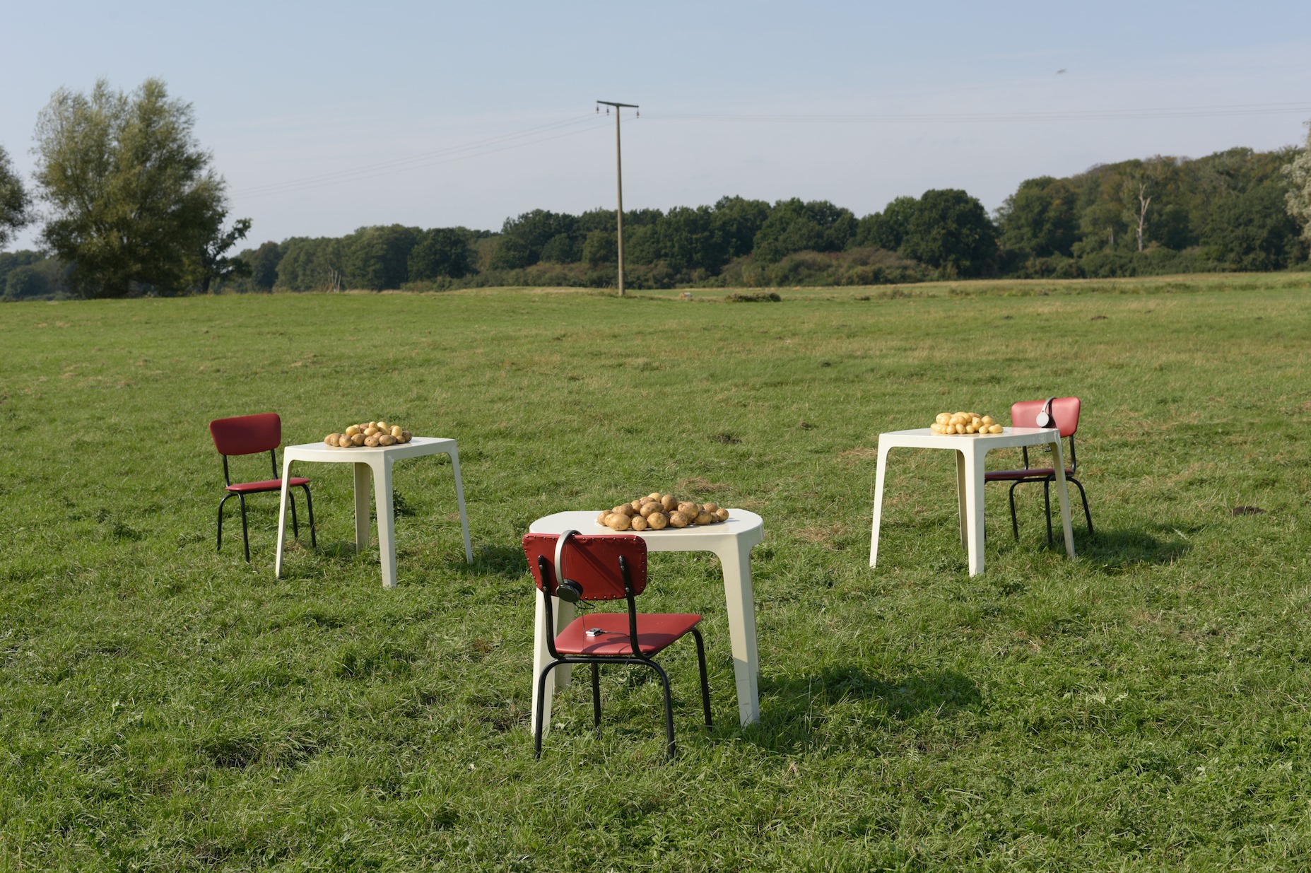 Foto von Kartoffelaktion in Mecklenburg