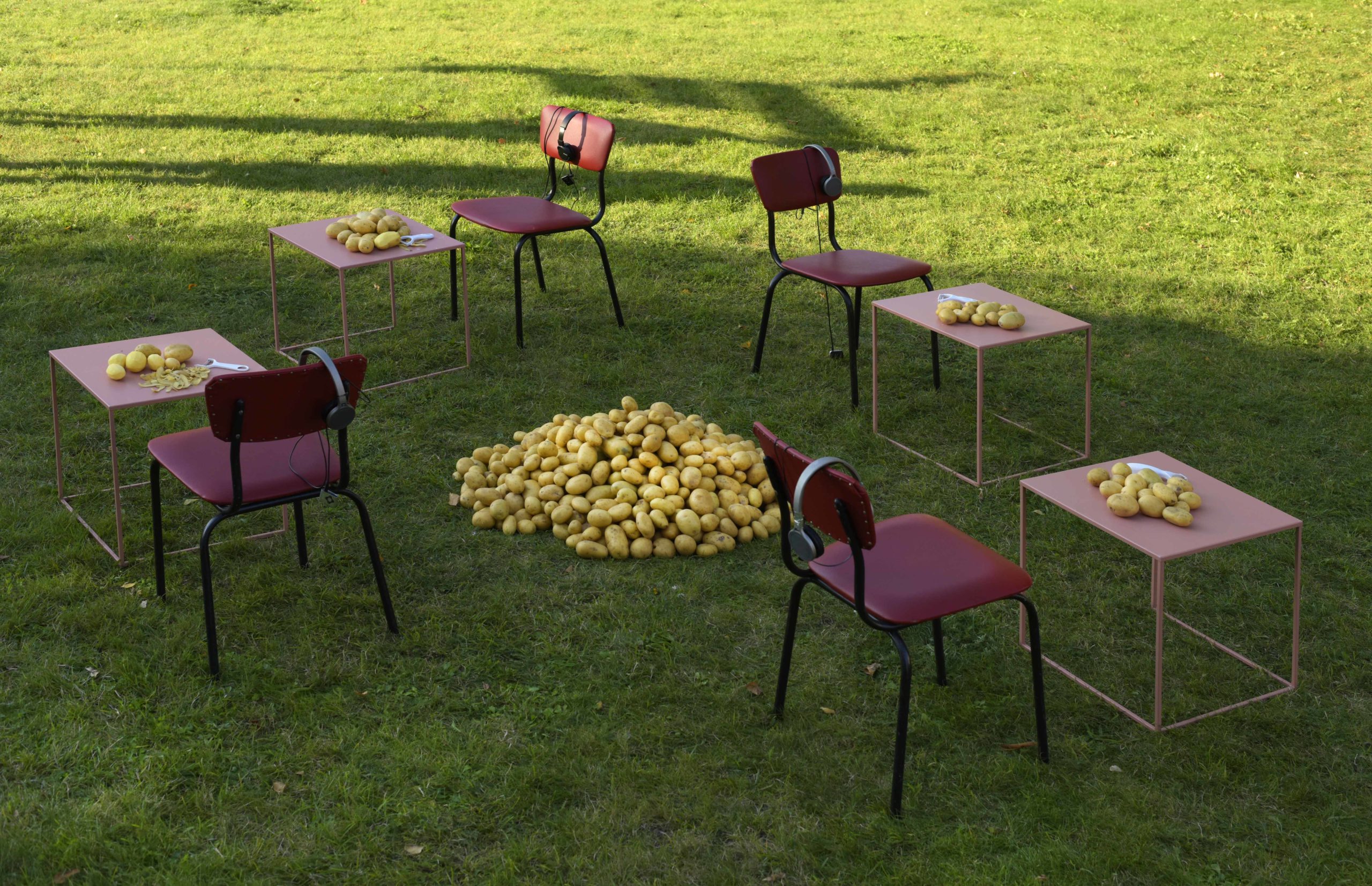 anderes Foto von Kartoffelaktion in Mecklenburg